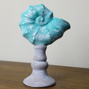 Nautilis Shell Coastal Tabletop Decor